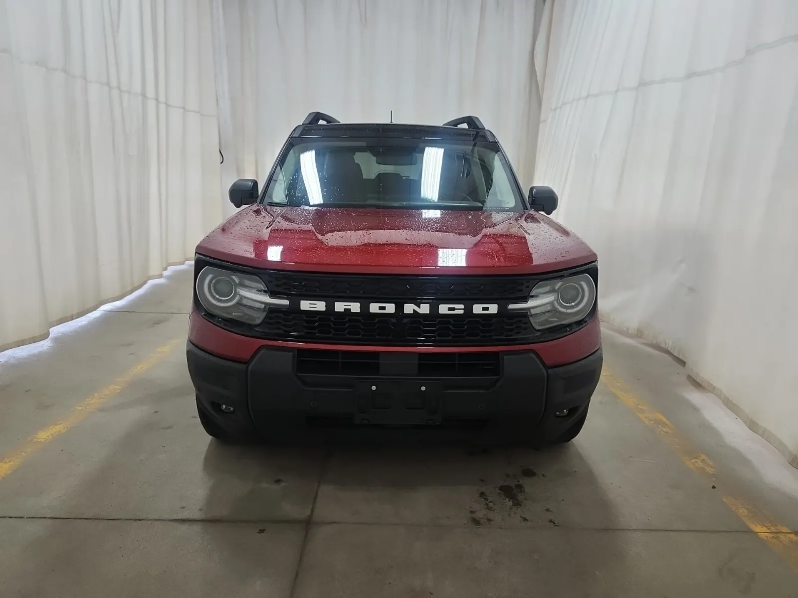 Full Front Photo