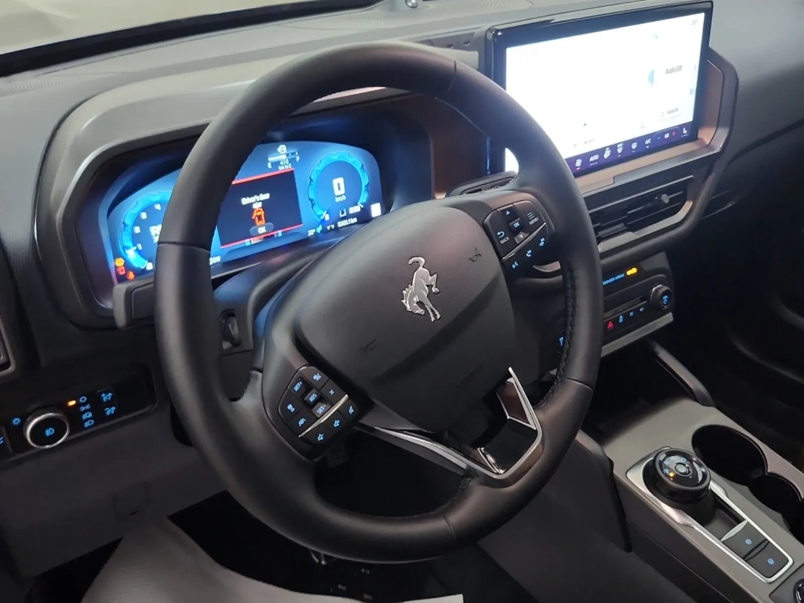 Steering Wheel