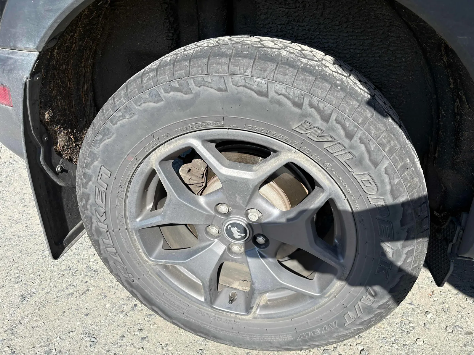 Additional Photo