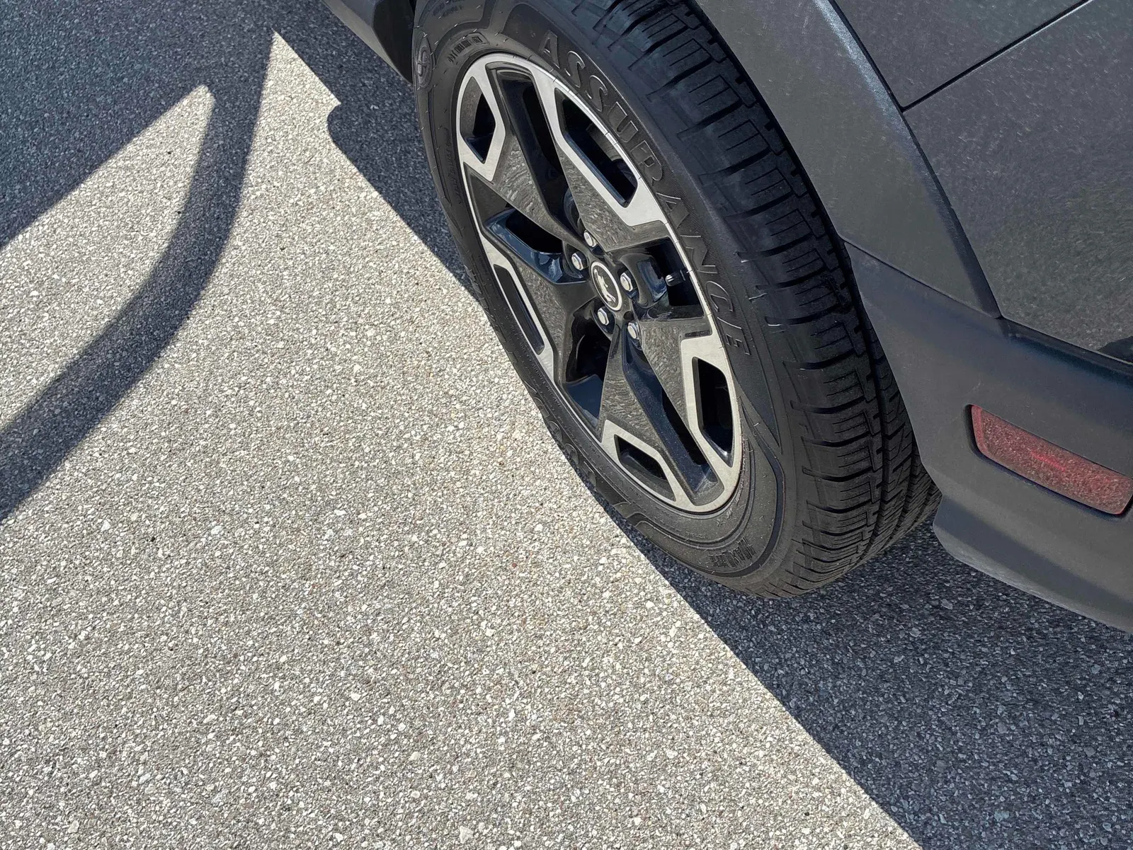 Additional Photo