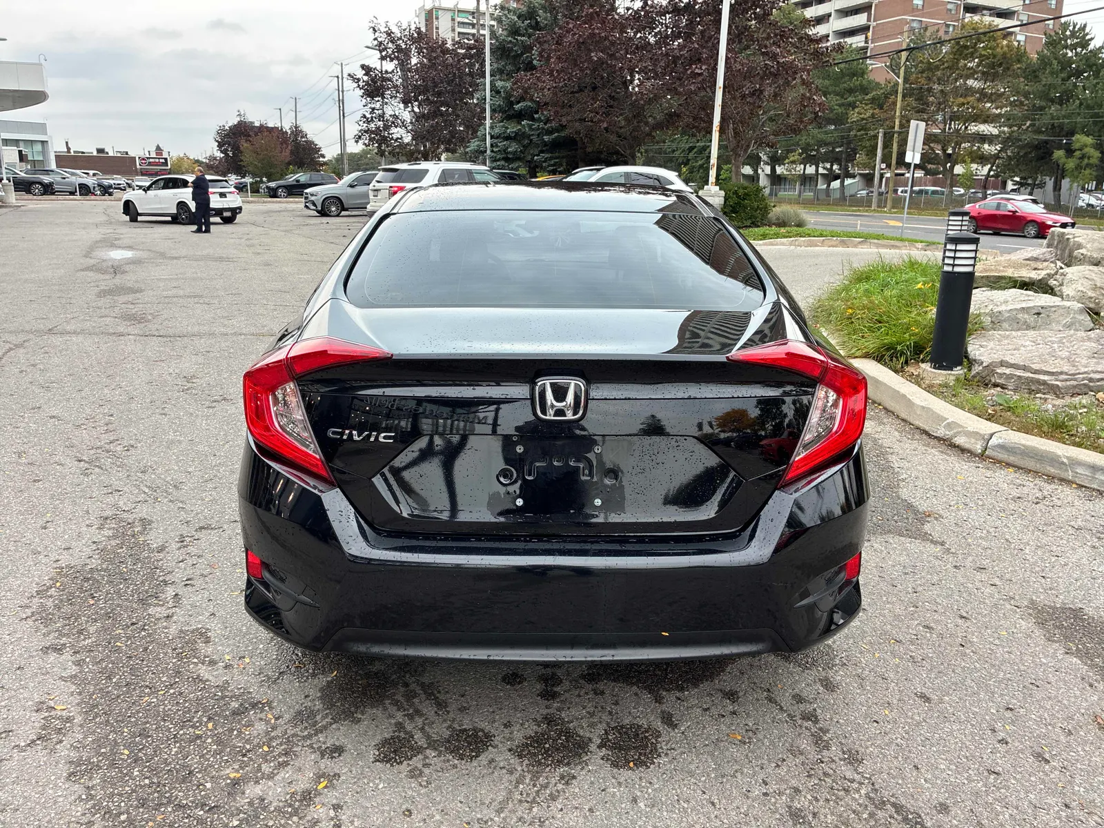 Back