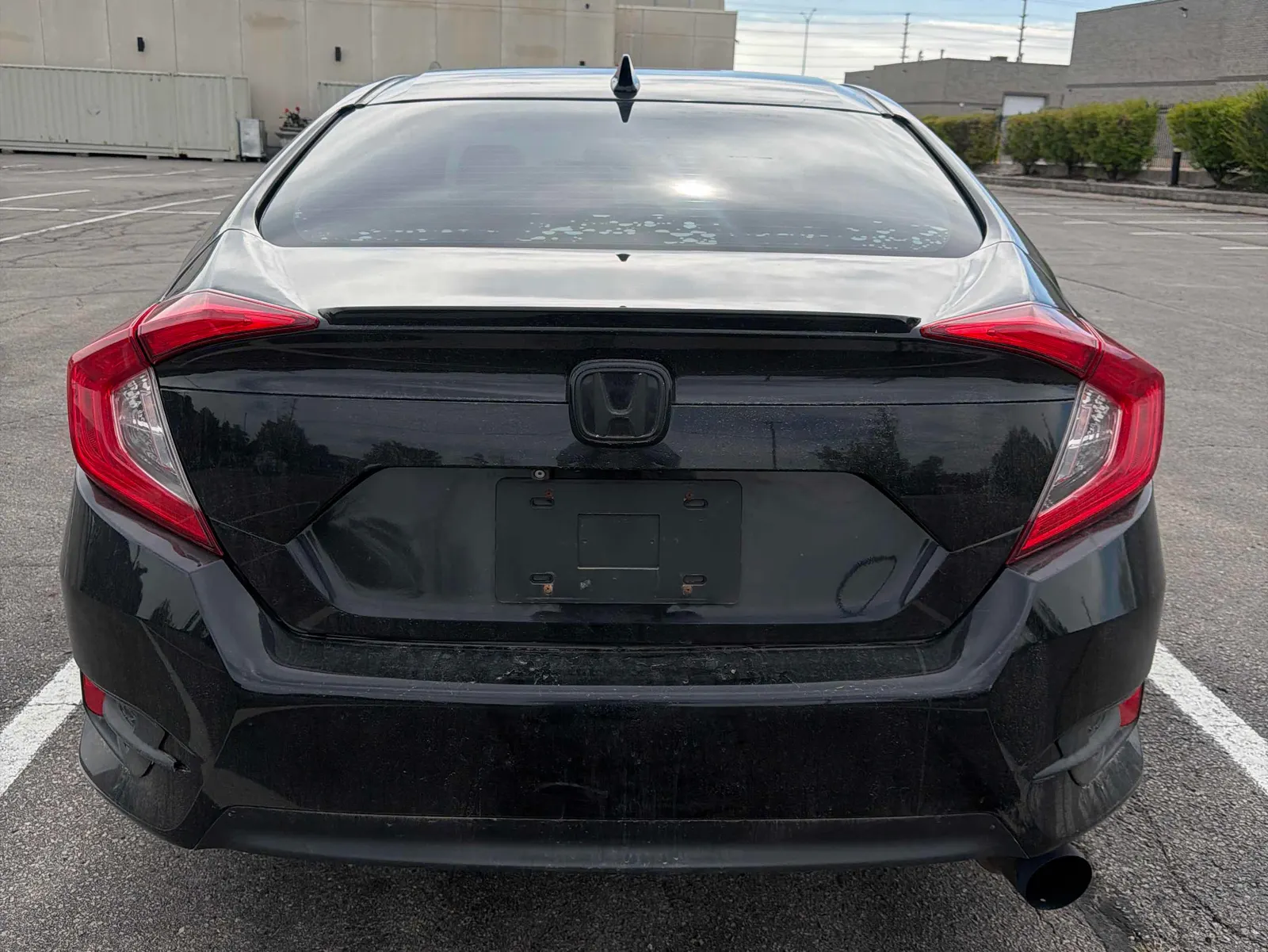 Back