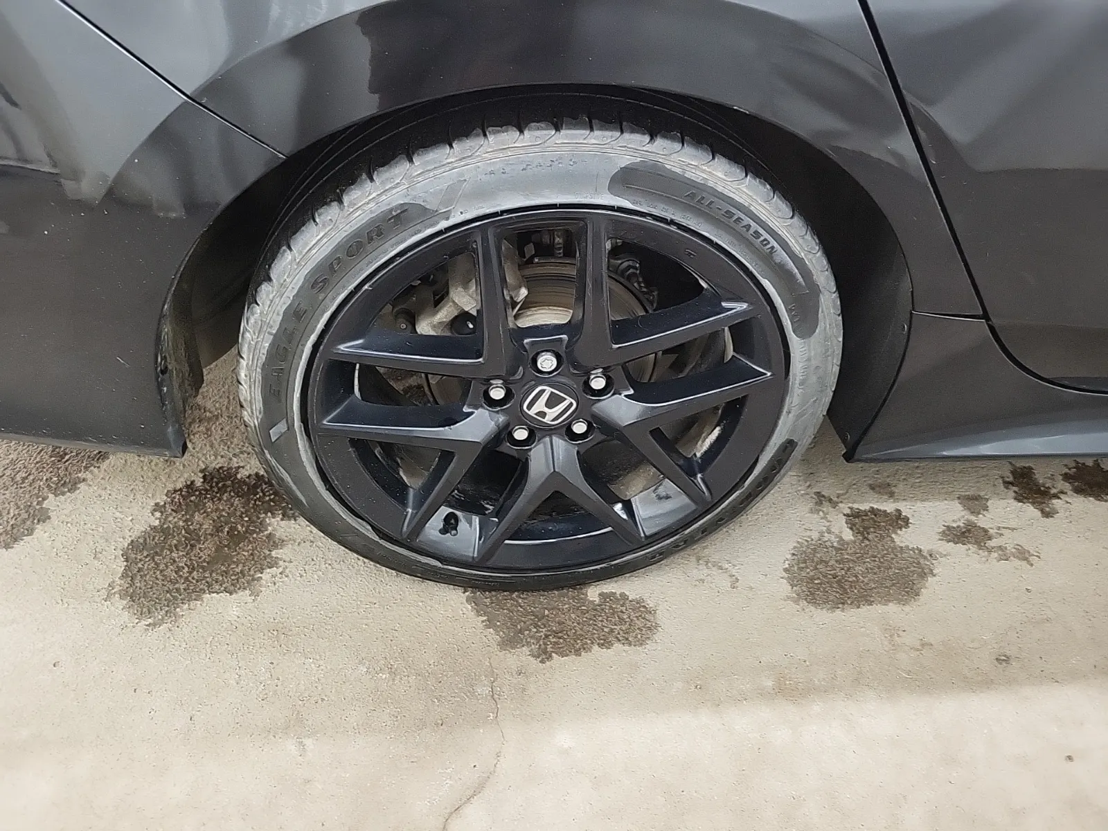 Right Rear Wheel/Tire Photo