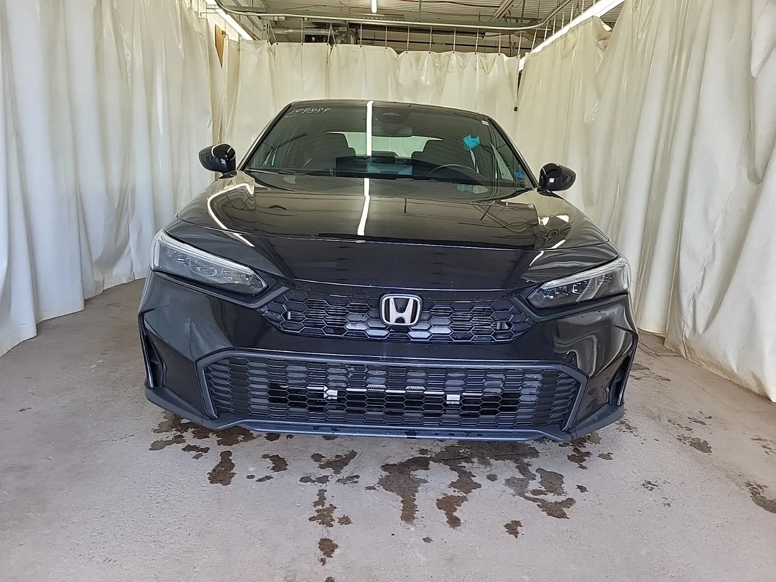 Full Front Photo