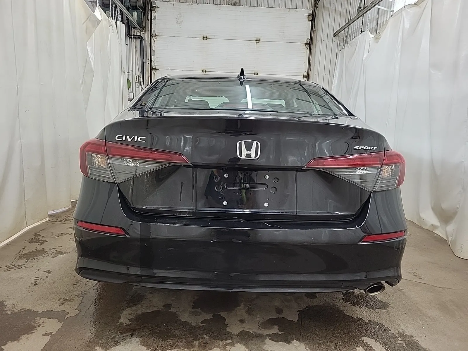 Full Rear Photo