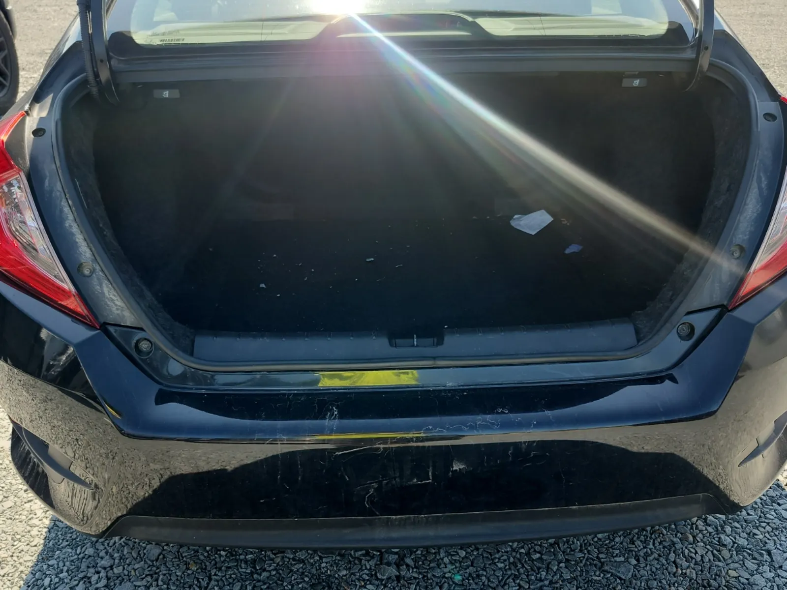 Cargo Area Photo