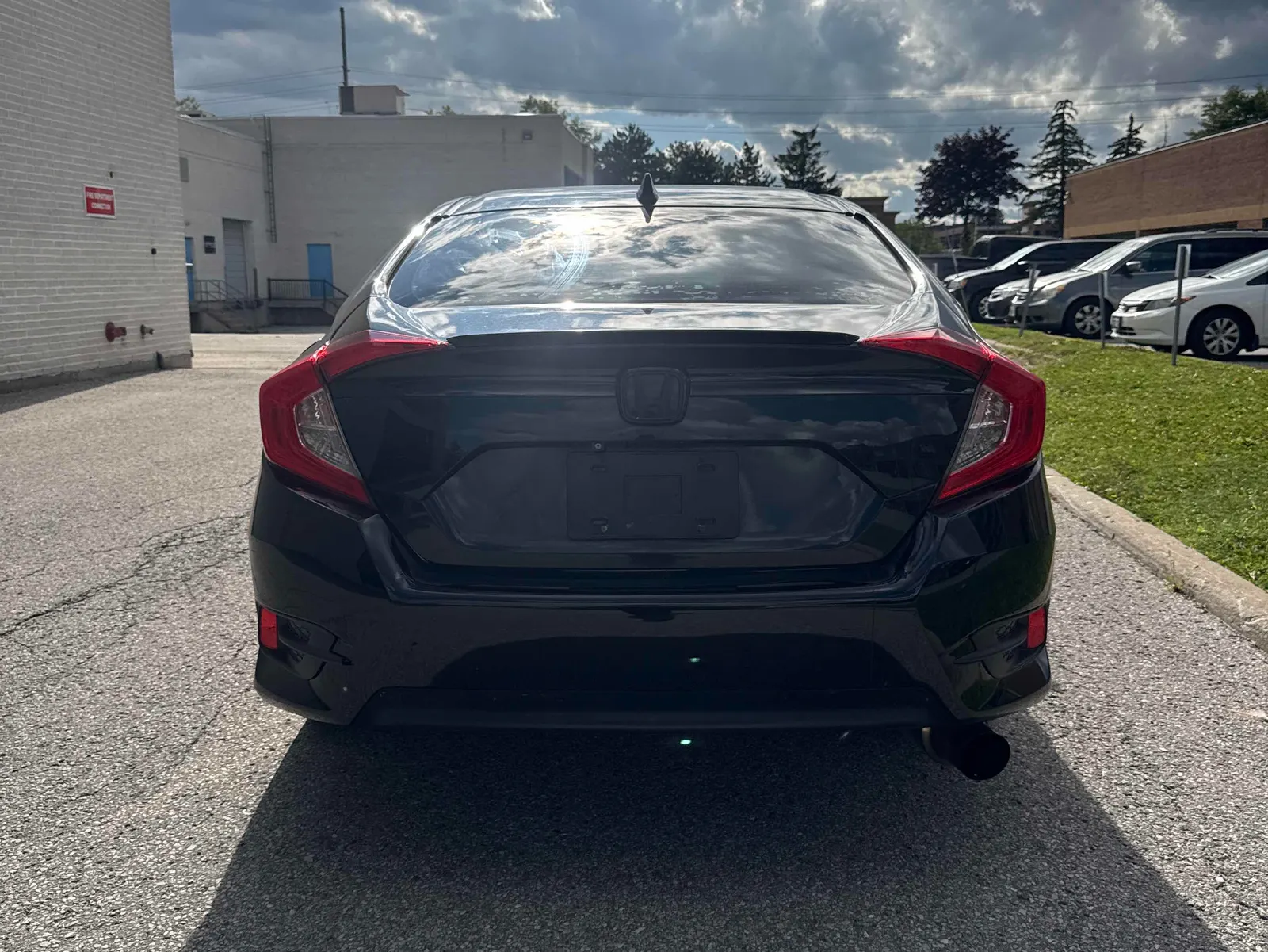 Back