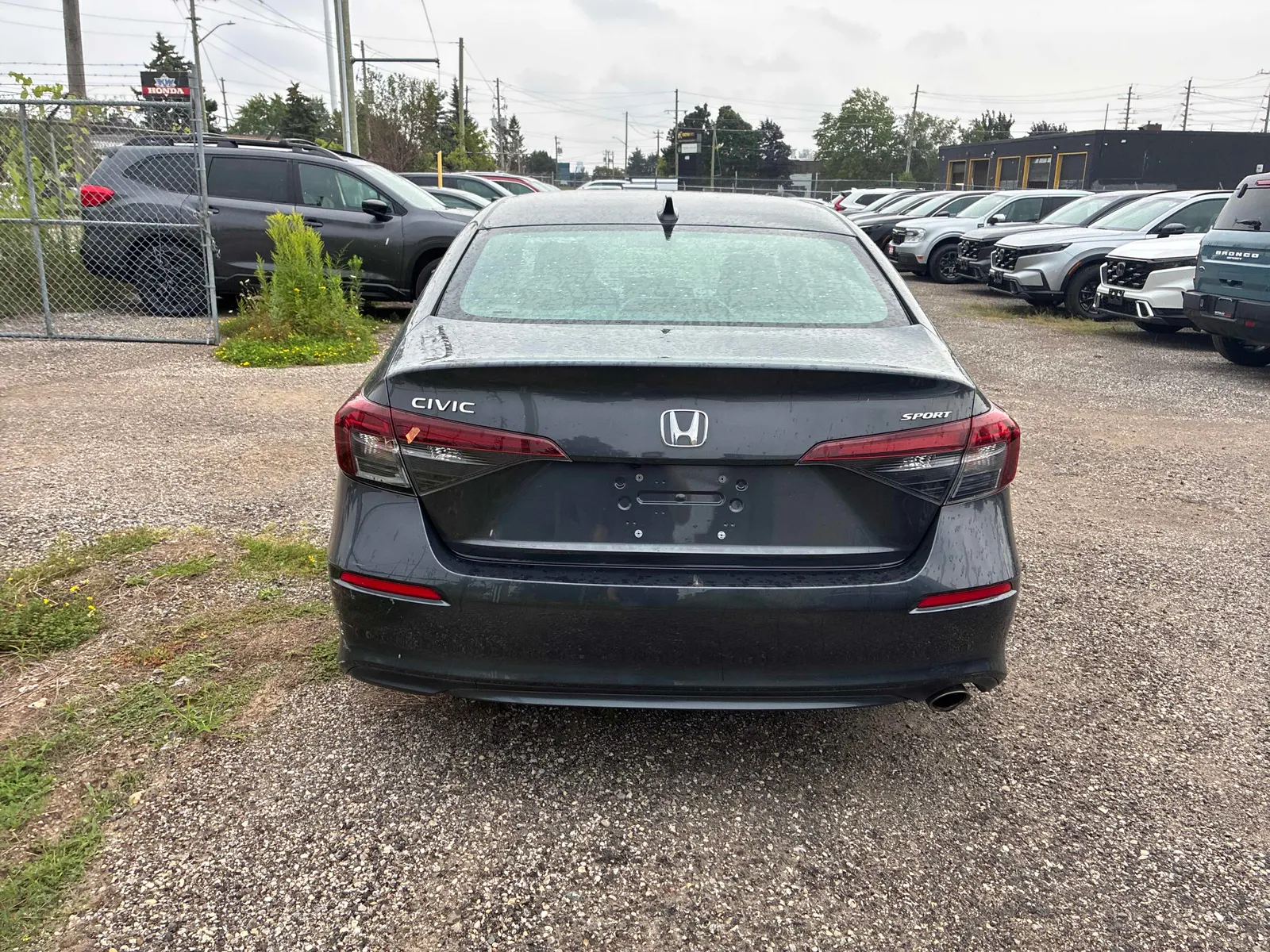 Back