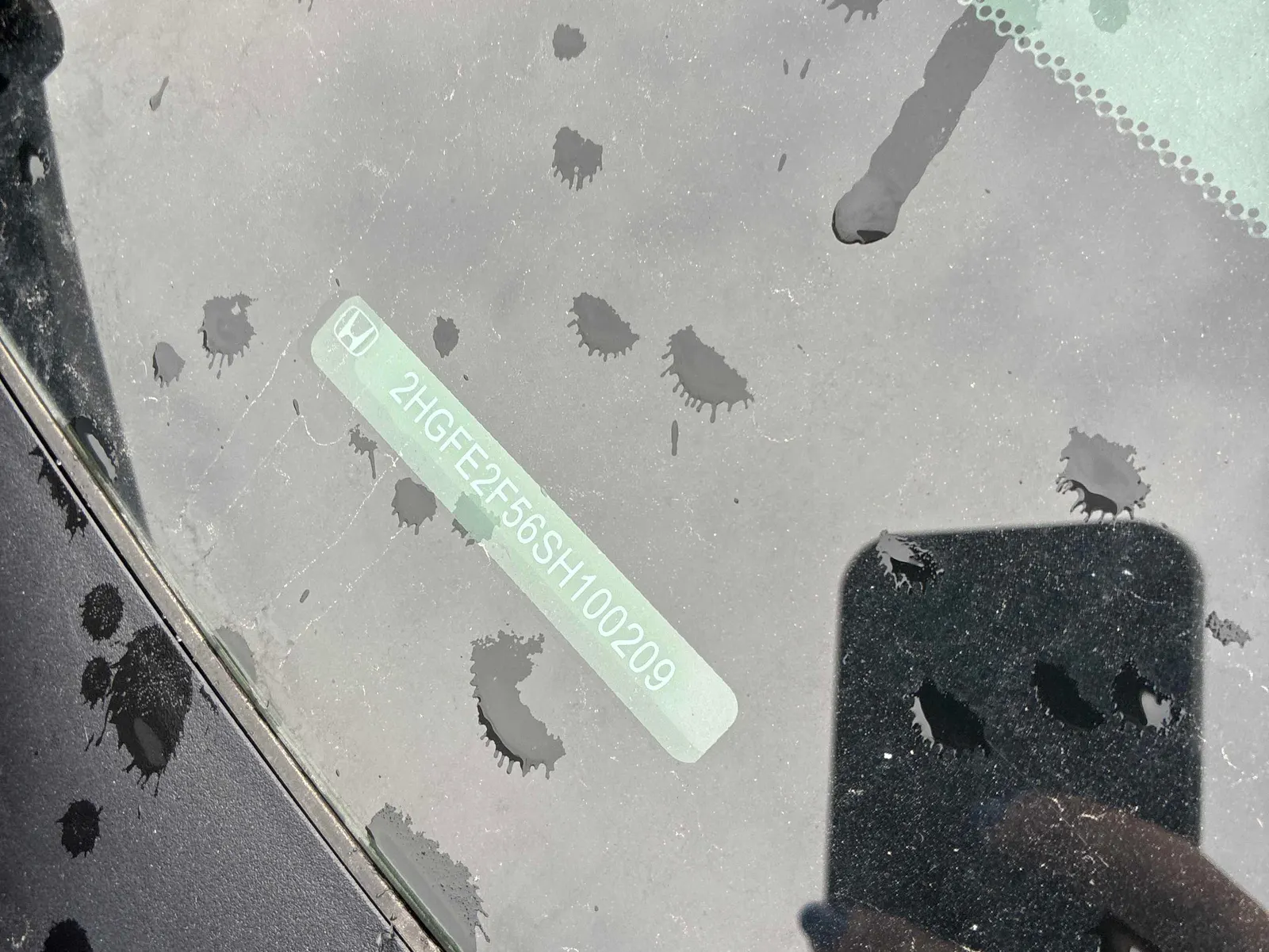Additional Photo