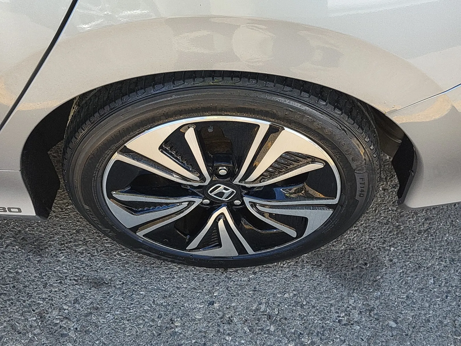 Left Rear Wheel/Tire Photo