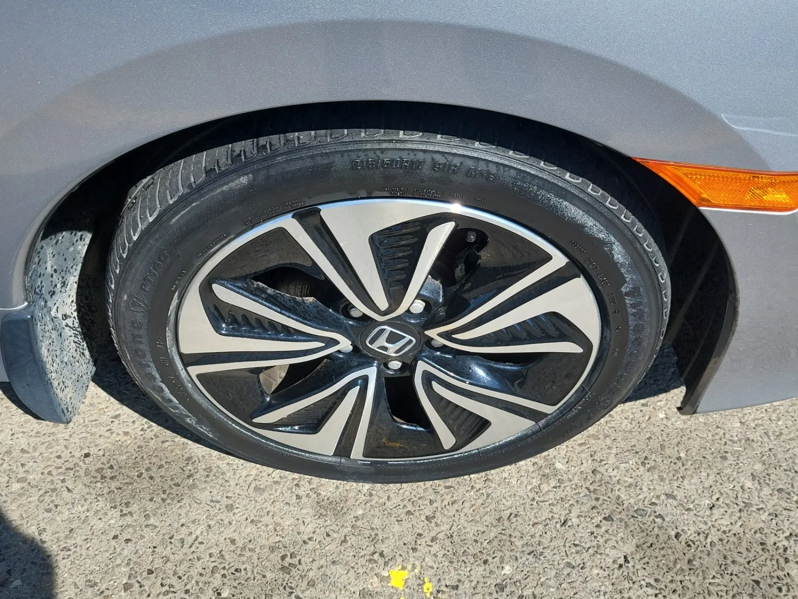 Right Front Wheel/Tire Photo