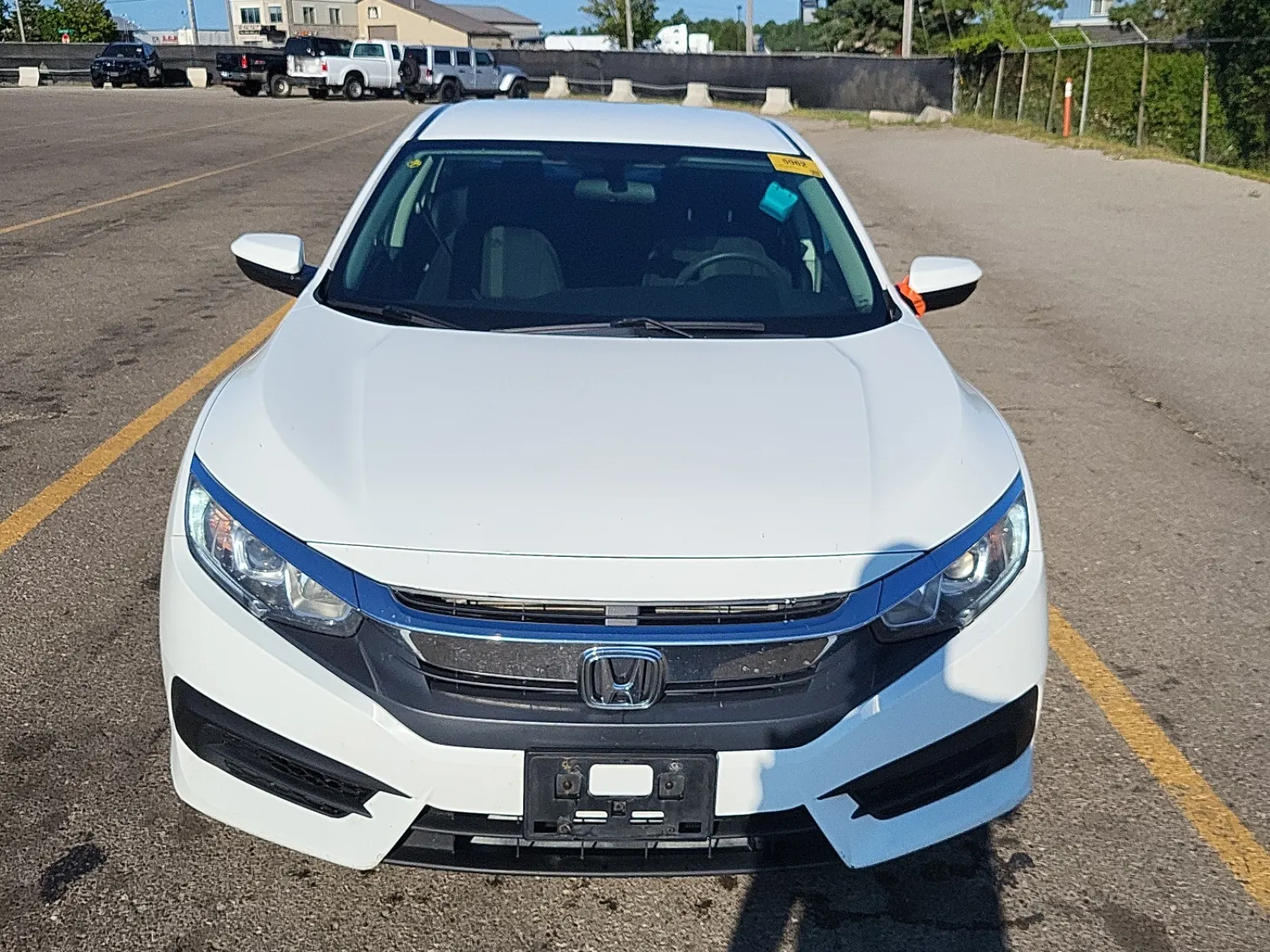 Full Front Photo