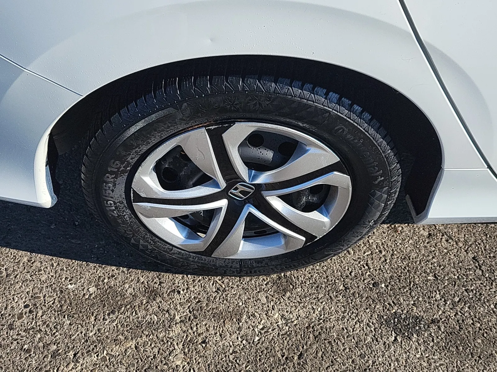 Right Rear Wheel/Tire Photo