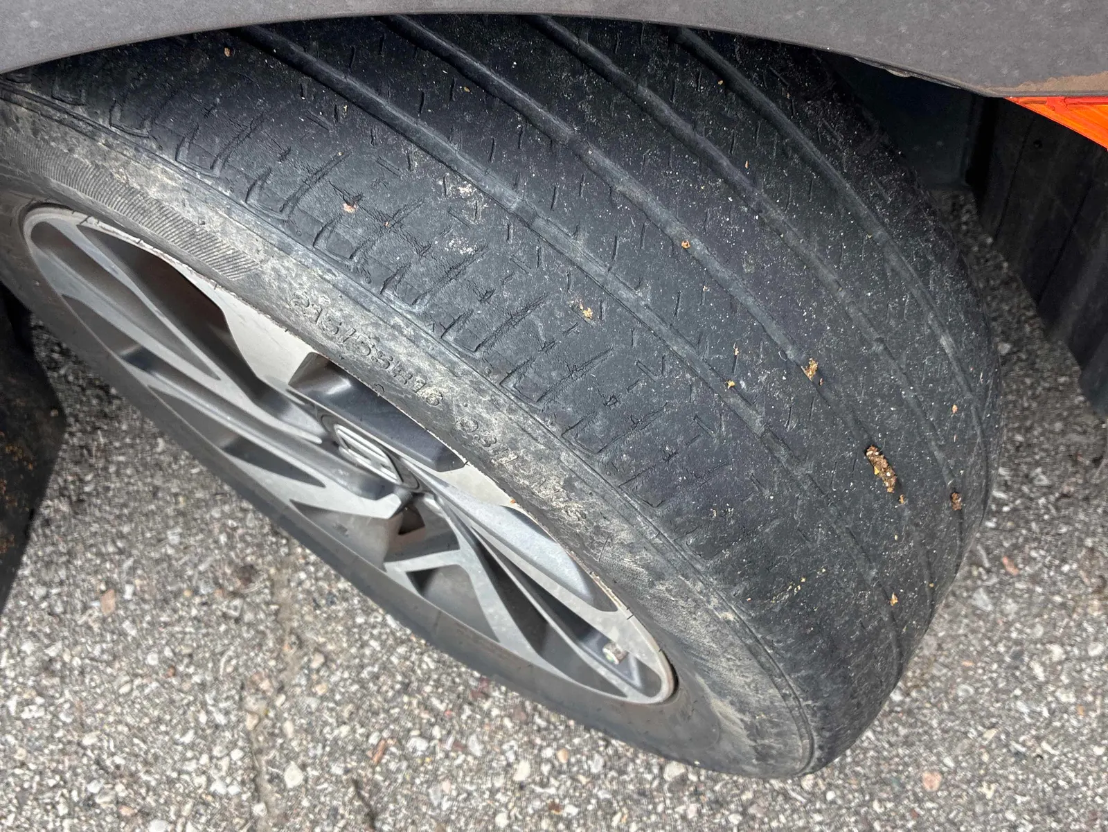 Tire
