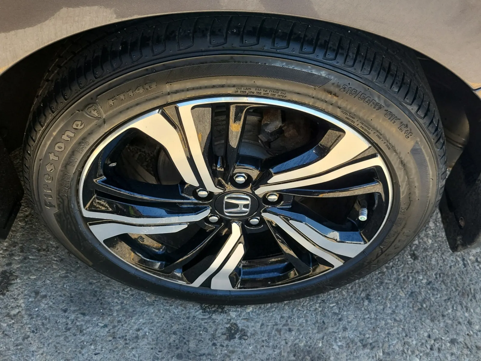 Left Rear Wheel/Tire Photo