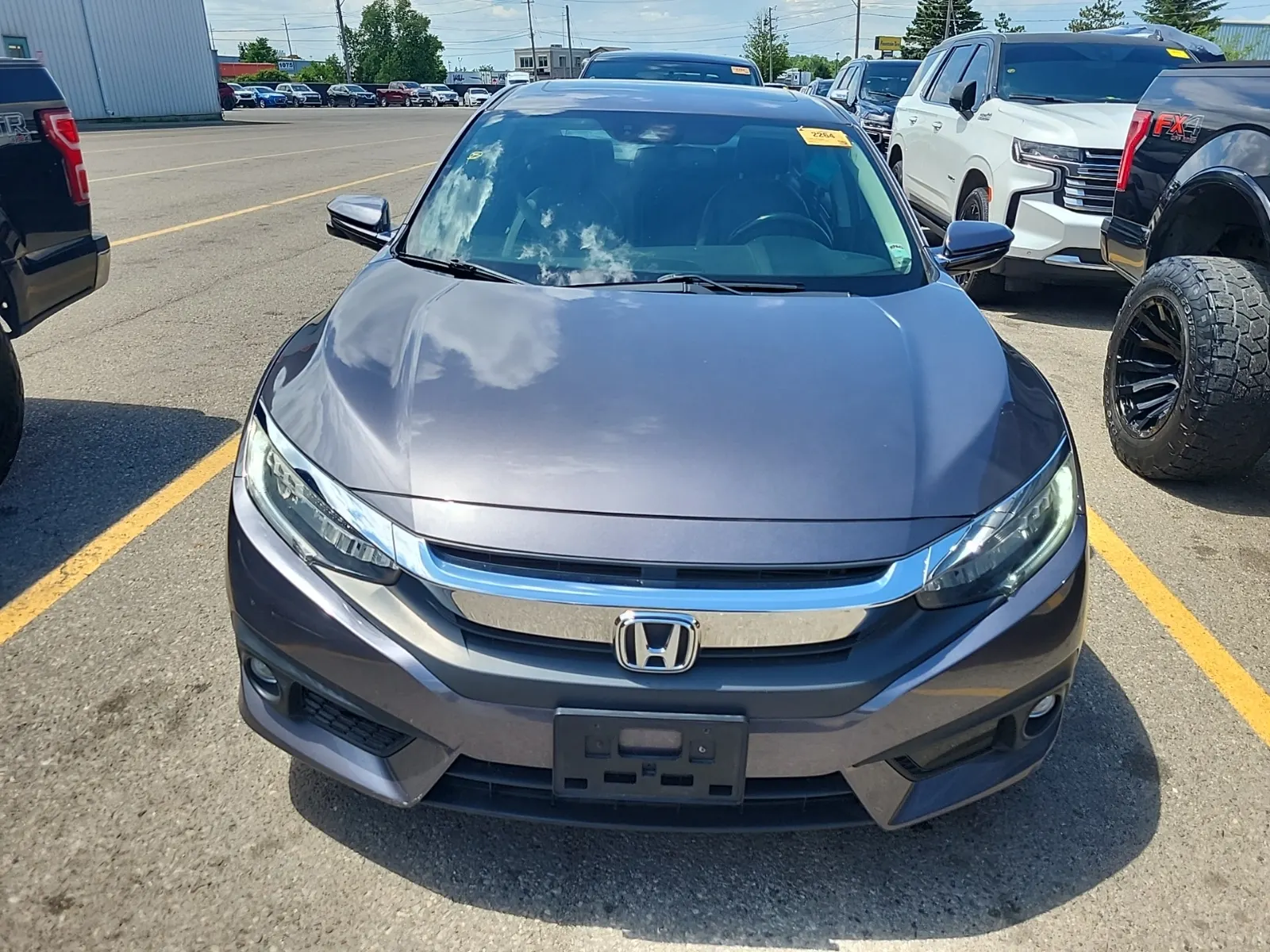 Full Front Photo
