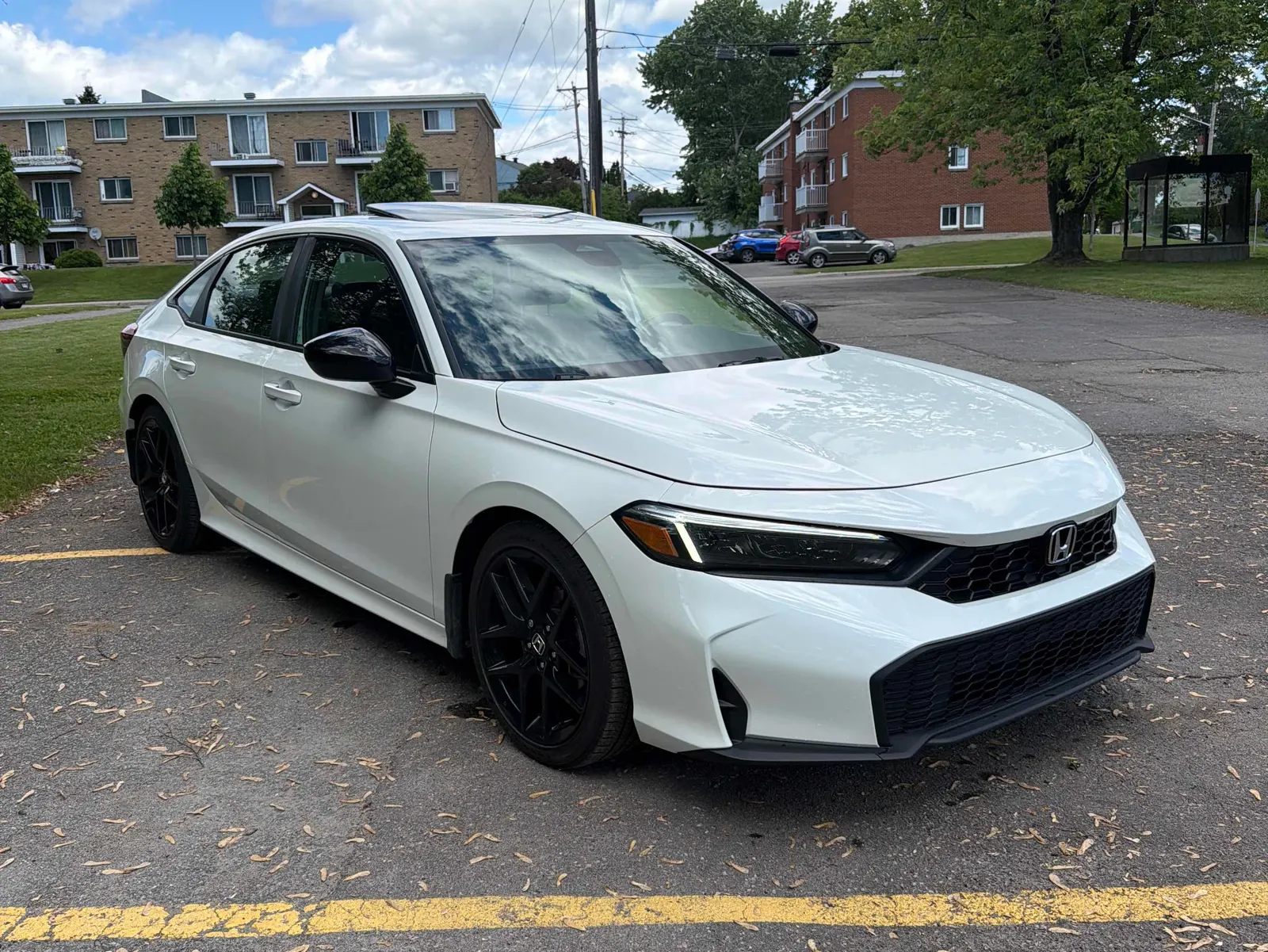 Additional Photo