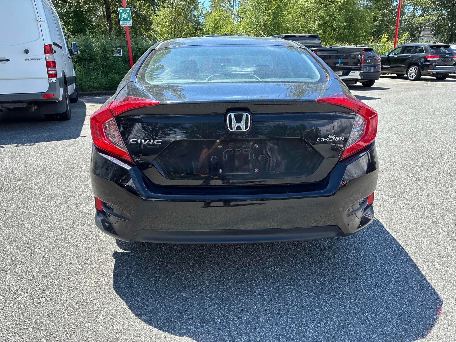 Back