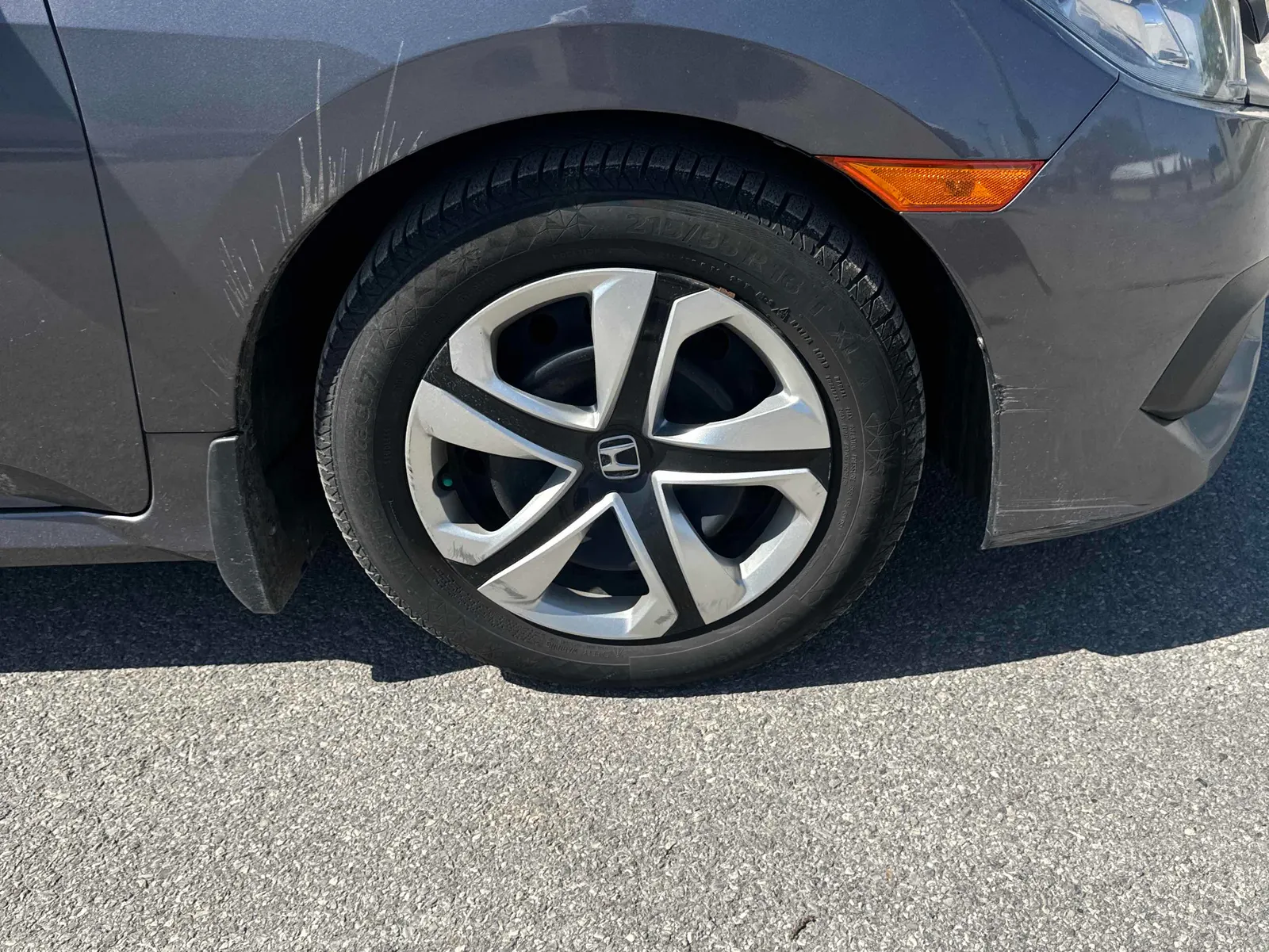 Additional Photo