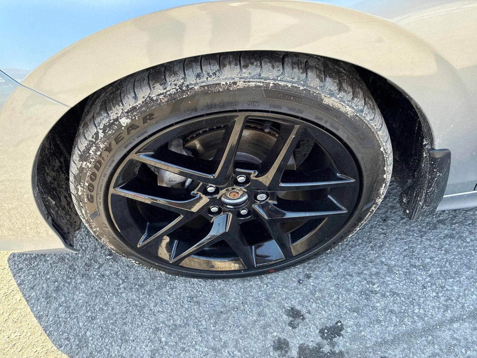 Tire