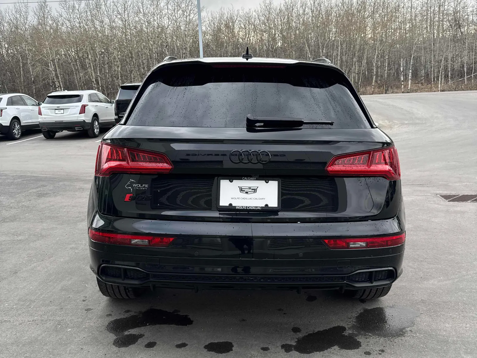 Back