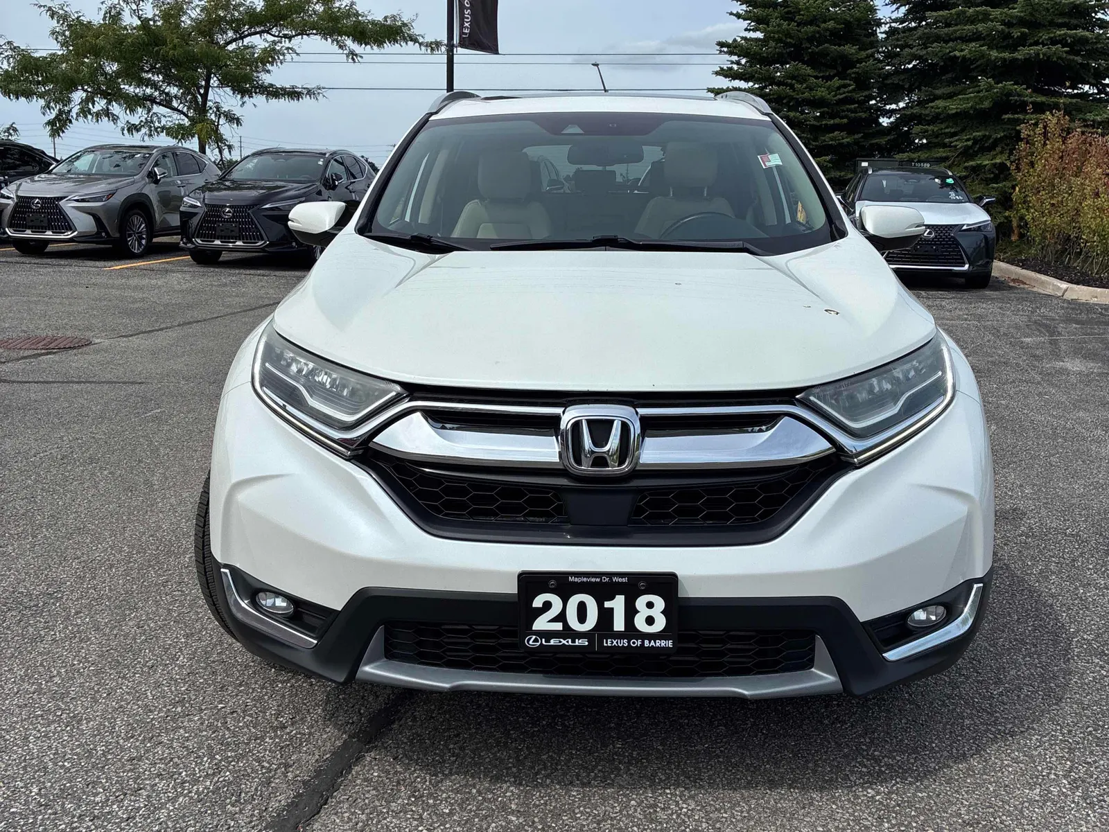 Front