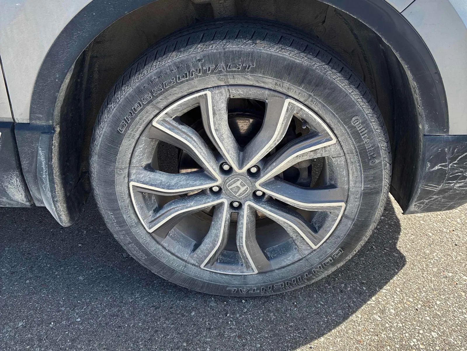 Tire