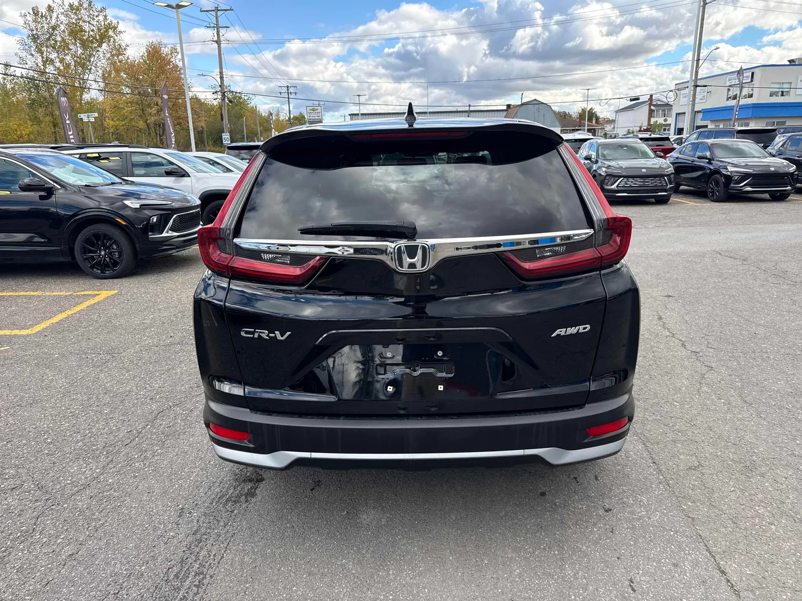 Back