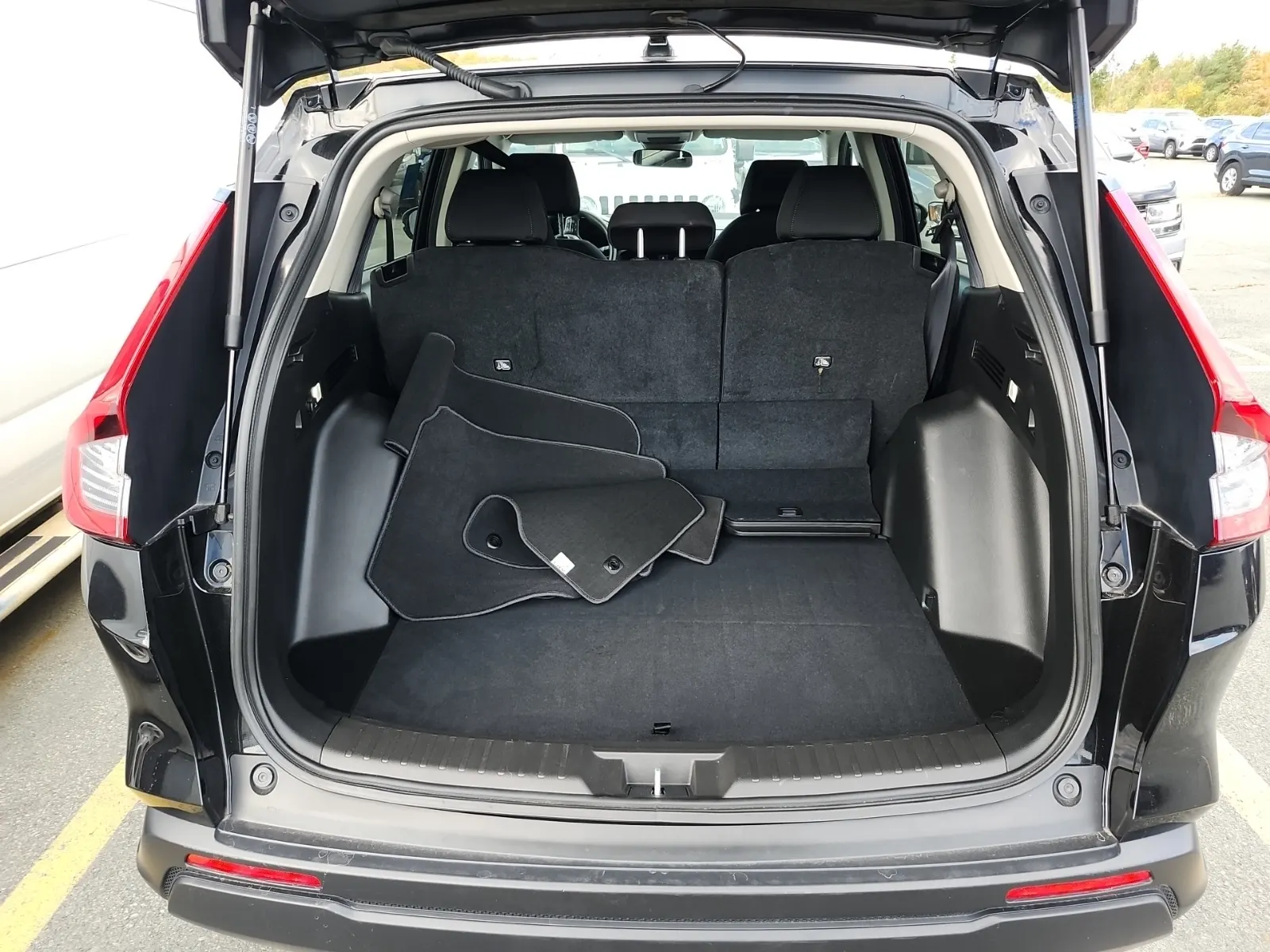 Cargo Area Photo