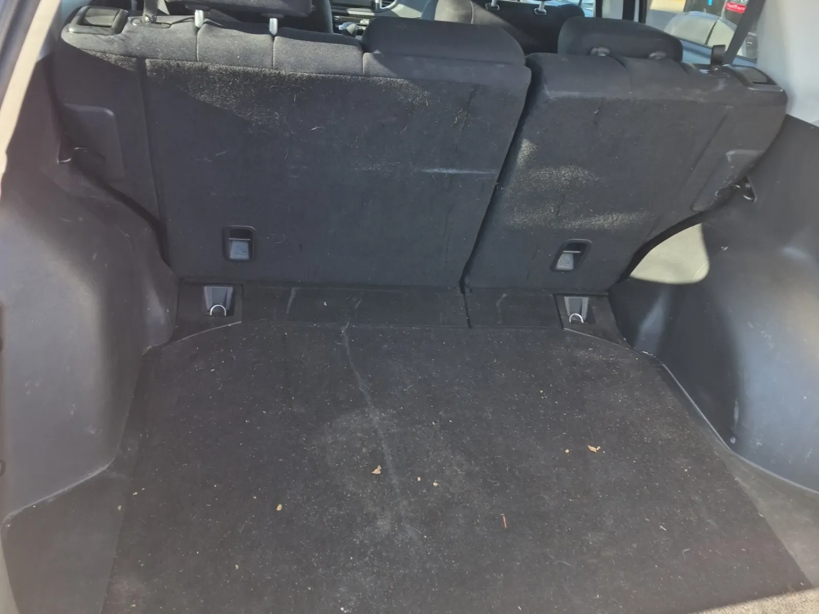Cargo Area Photo