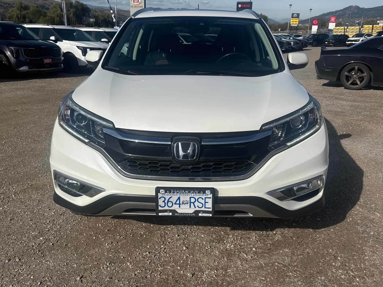 Front
