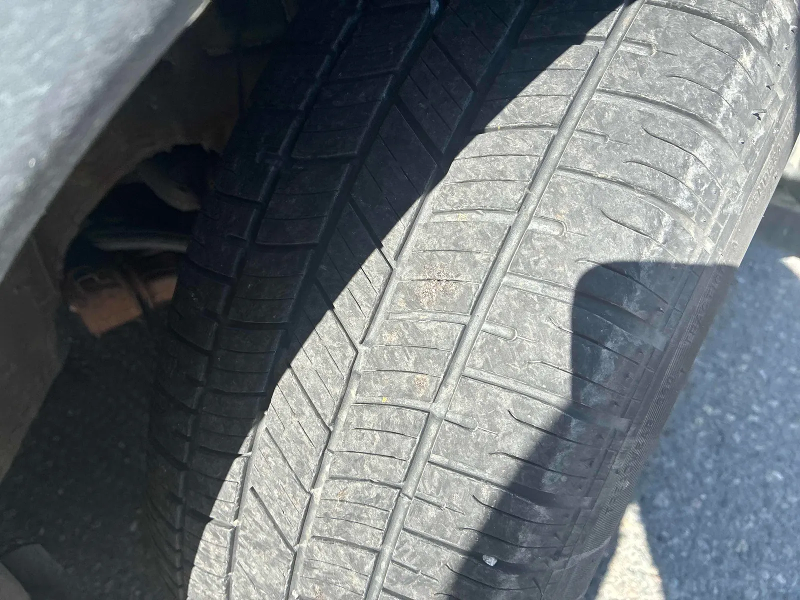 Additional Photo