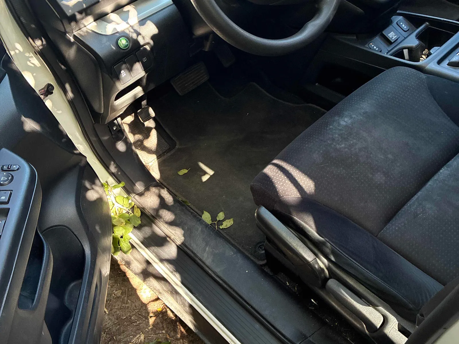 Interior driver side