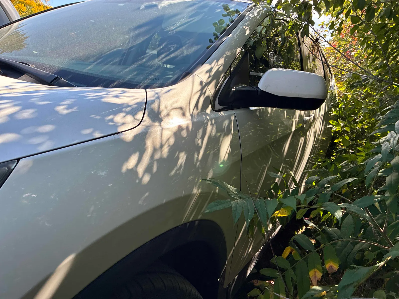 Driver side