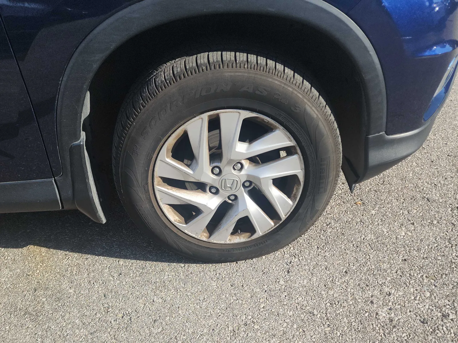 Tire