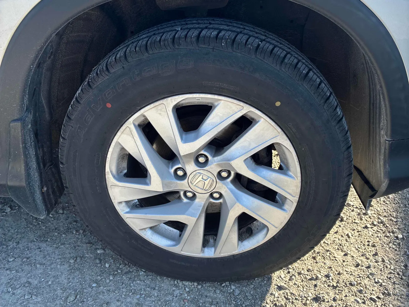 Tire