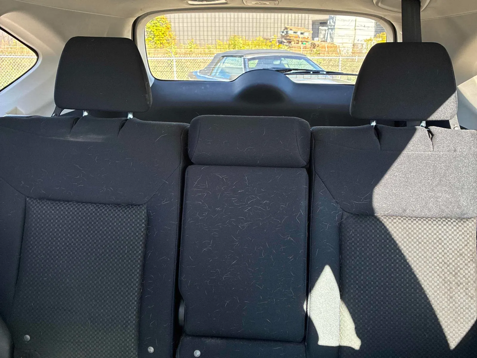 Additional Photo