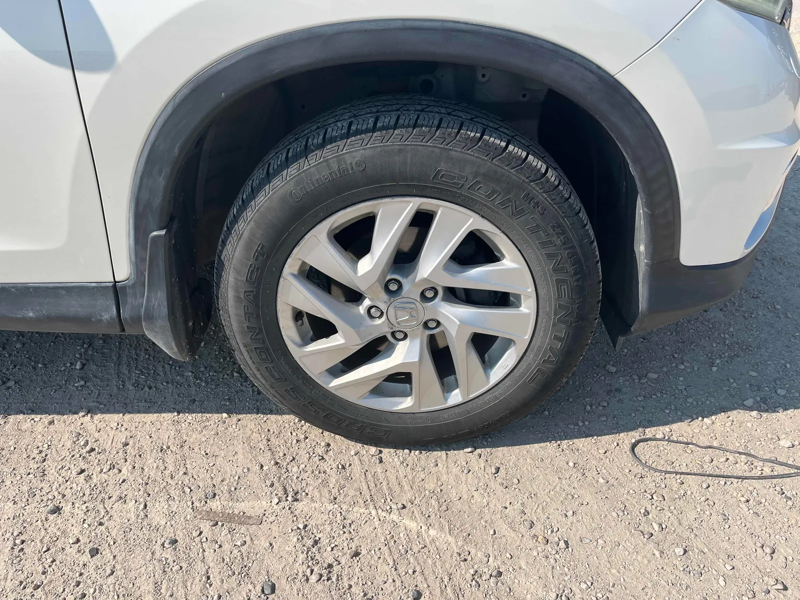 Tire