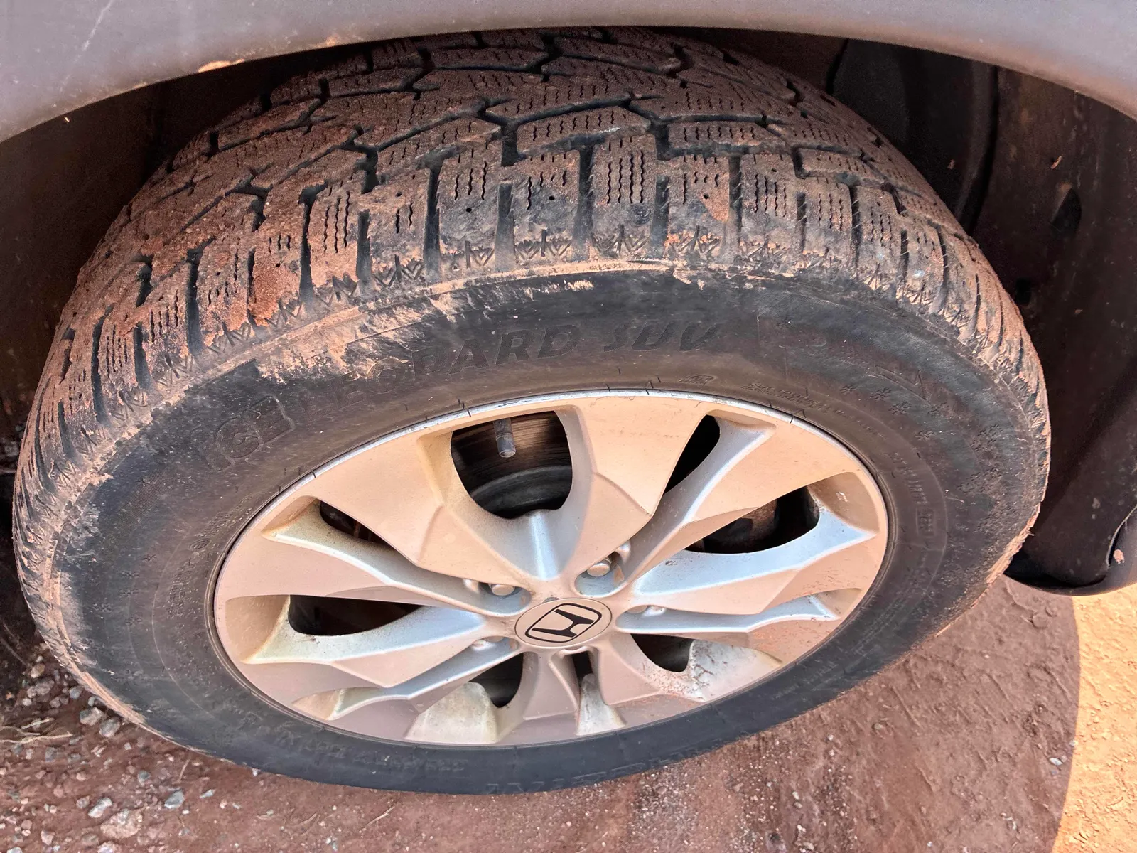 Tire