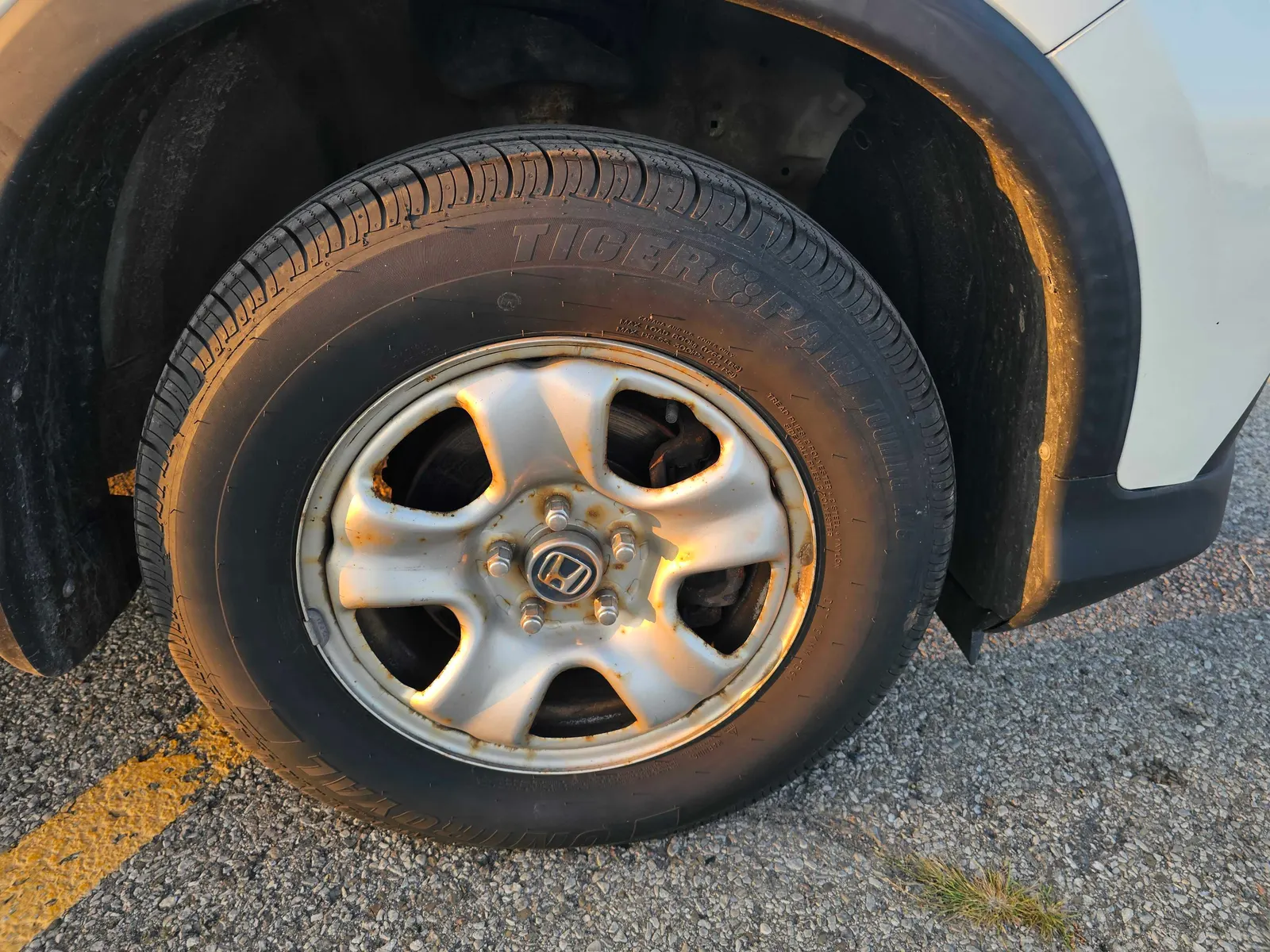 Tire