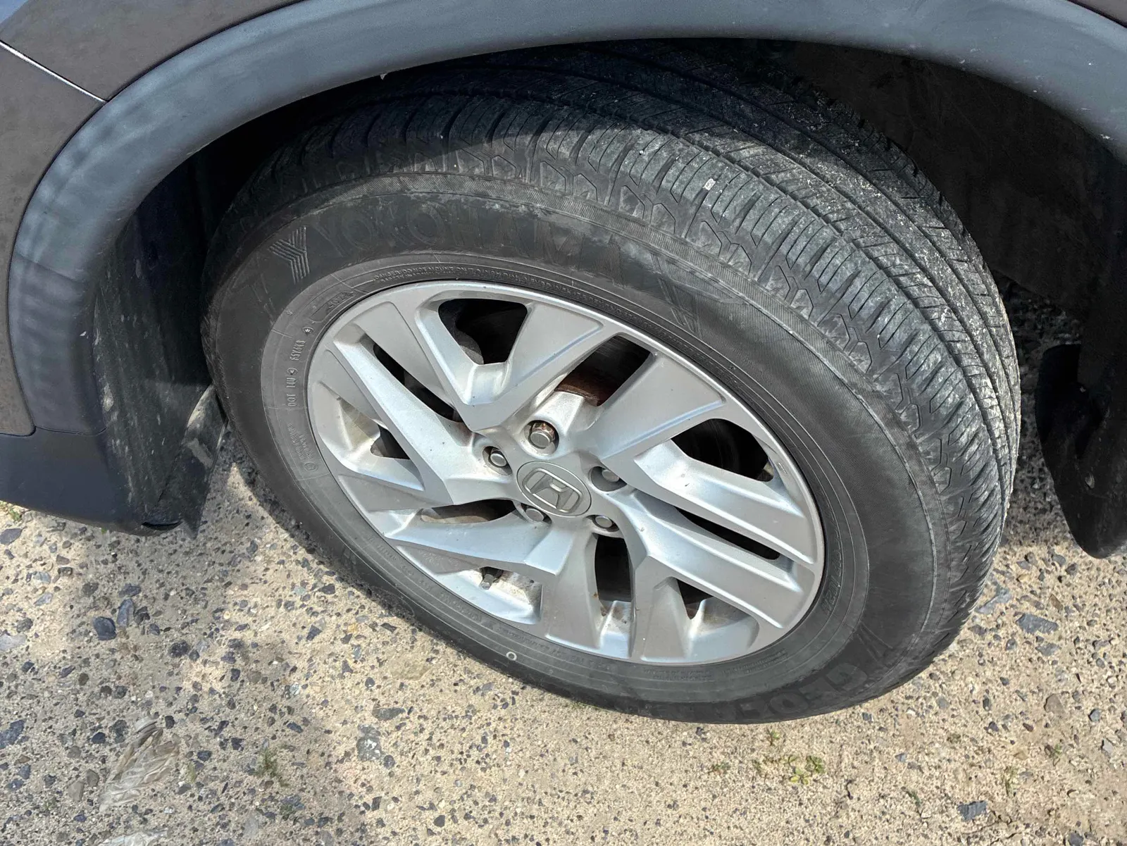 Tire