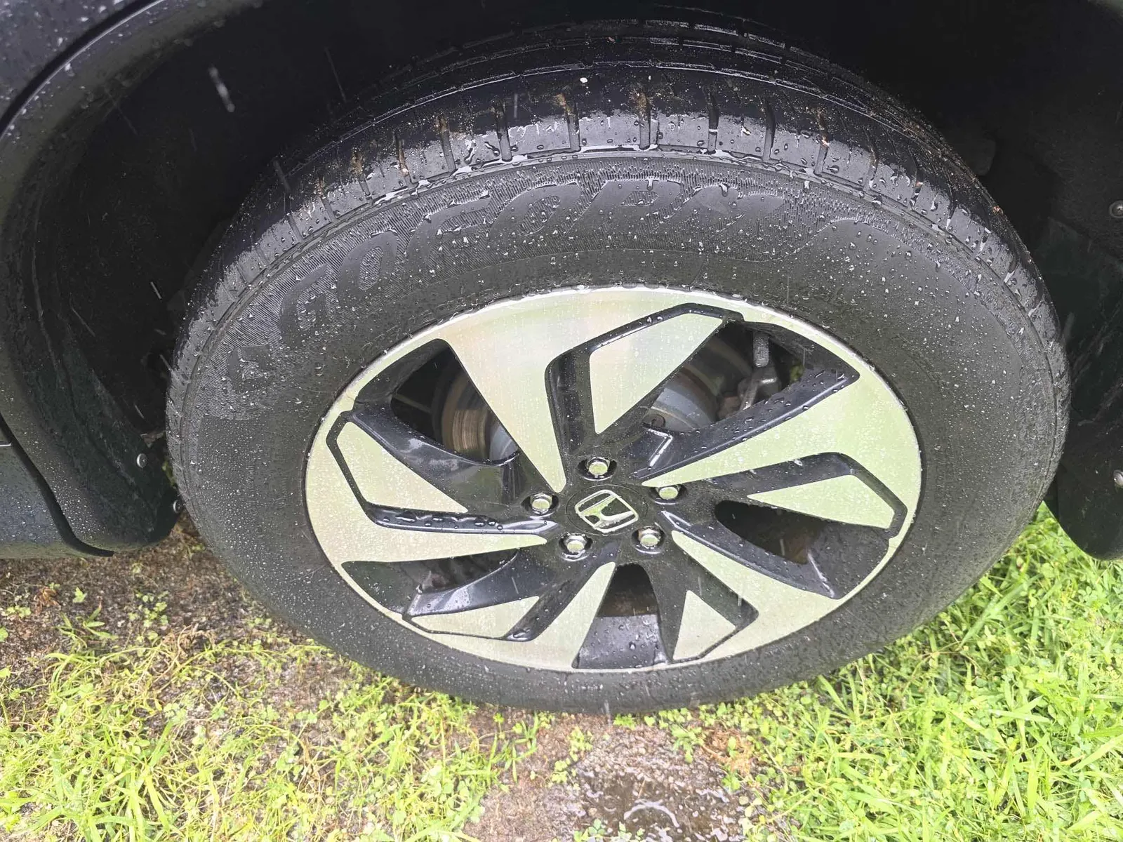 Tire