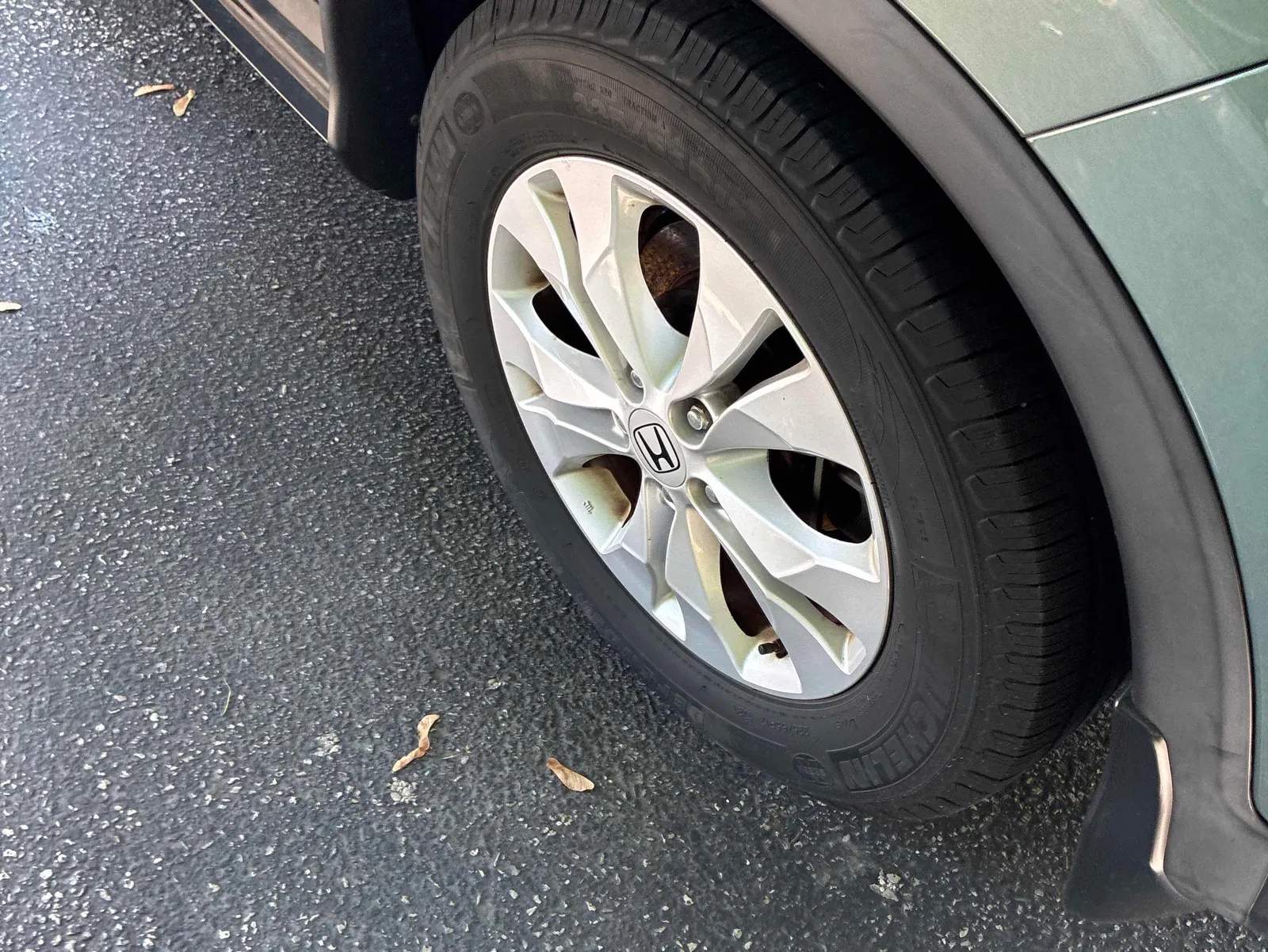 Additional Photo