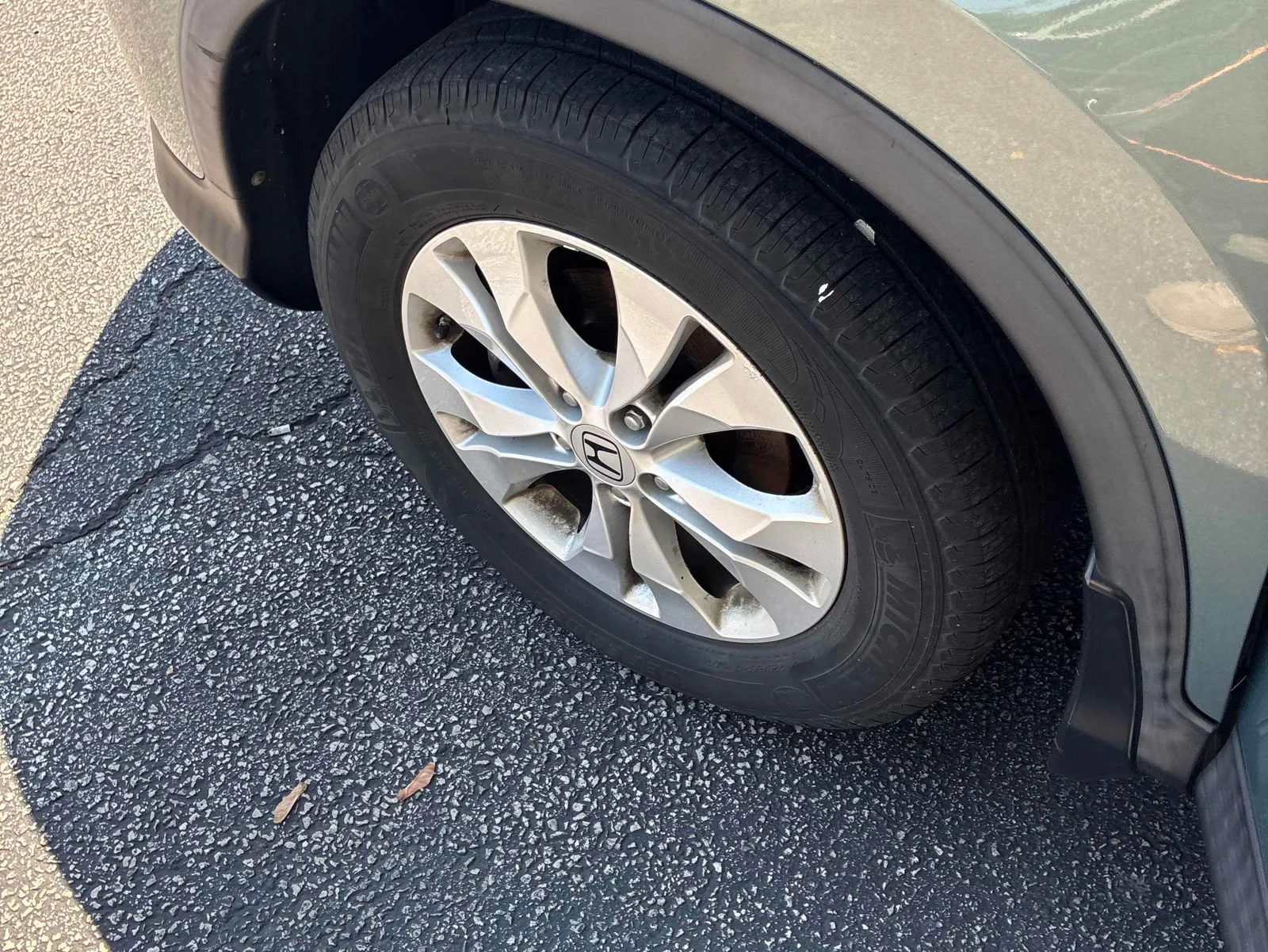 Additional Photo