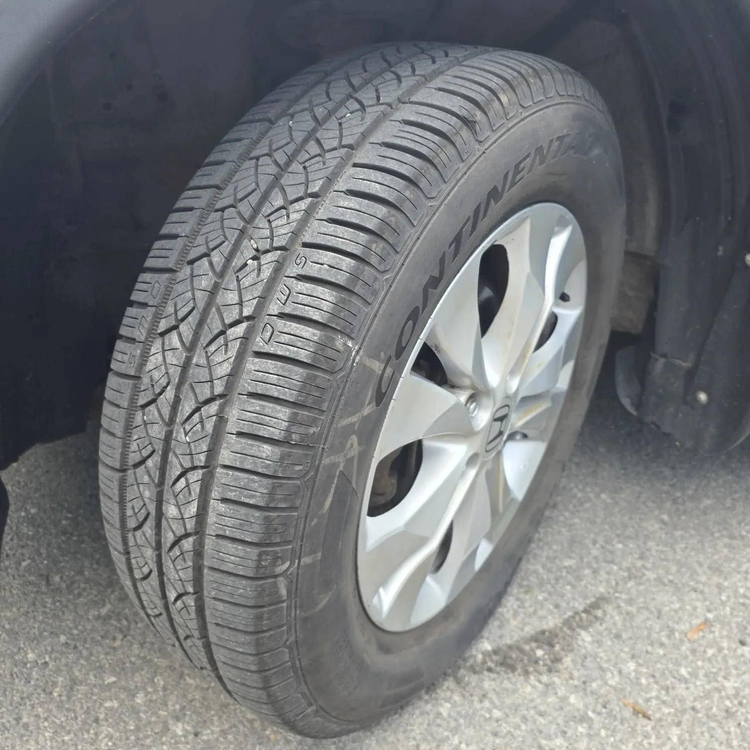 Tire