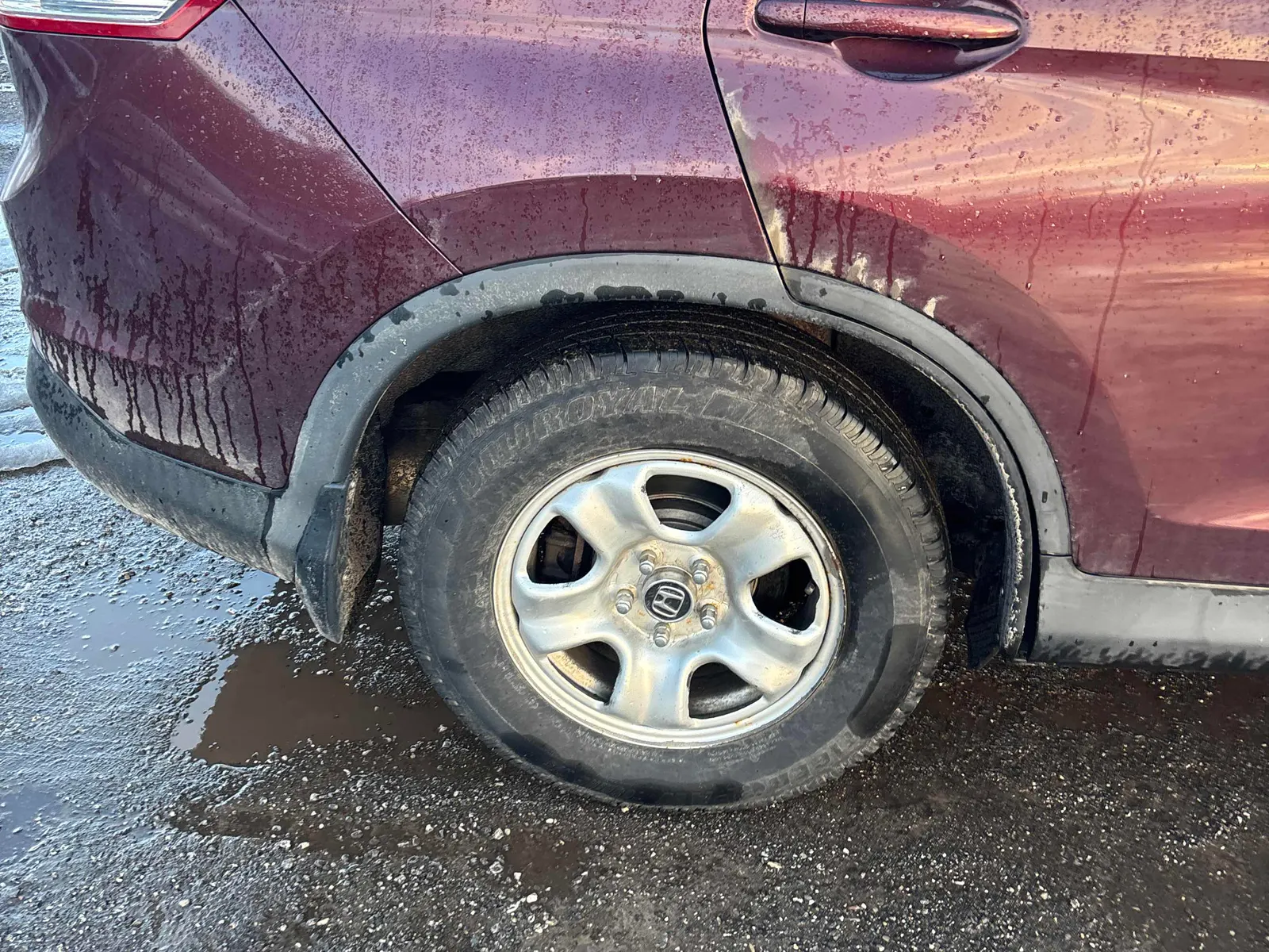 Tire