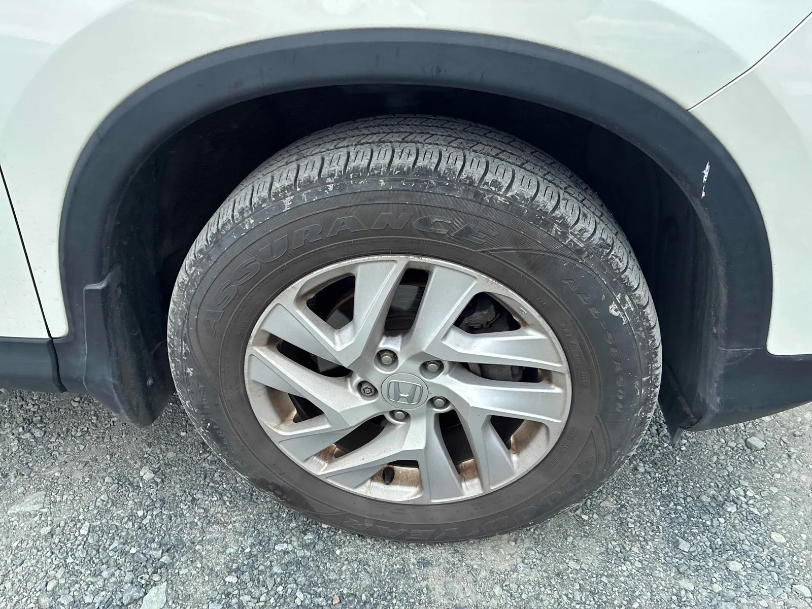 Tire