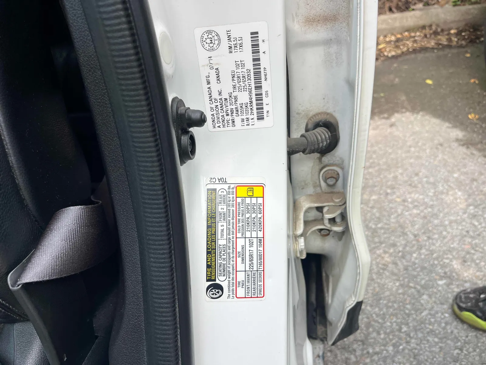 Additional Photo