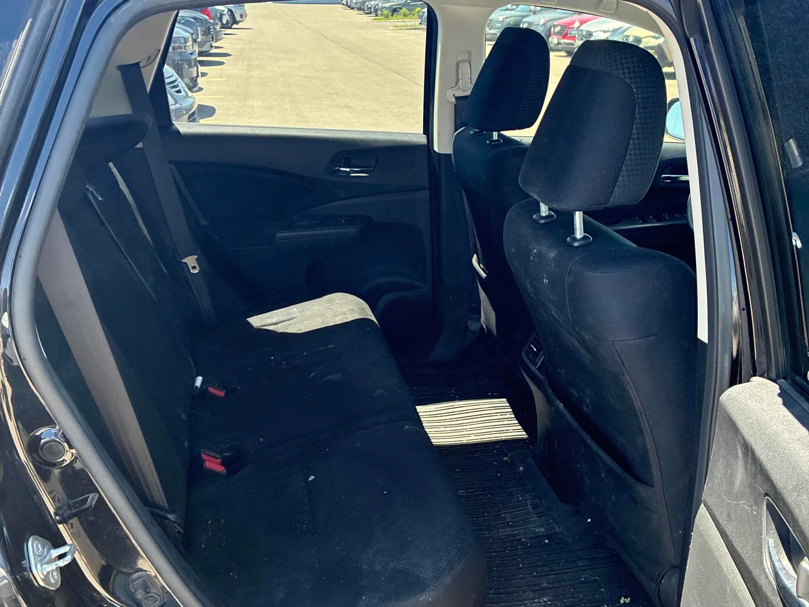 Additional Photo