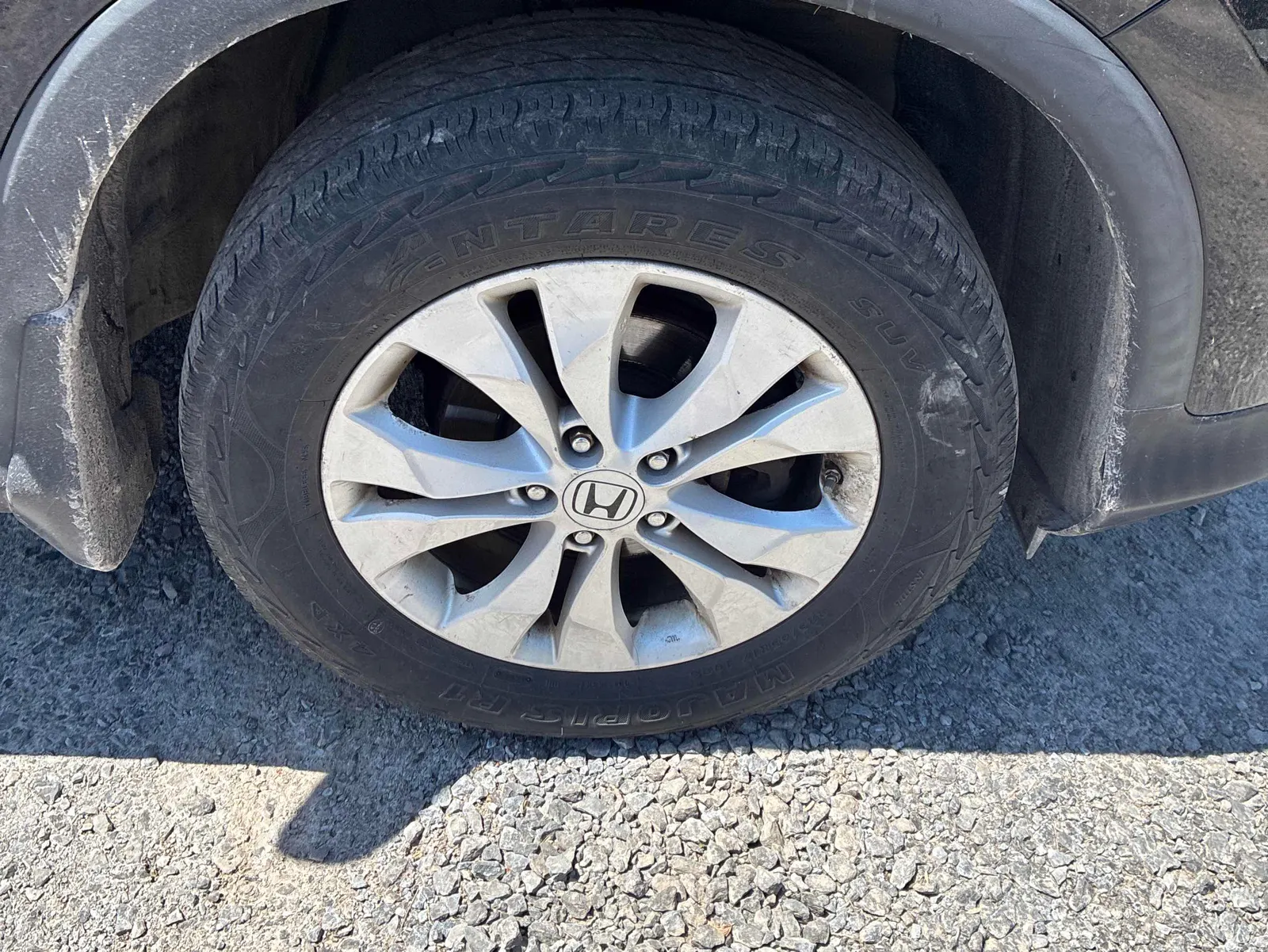 Tire